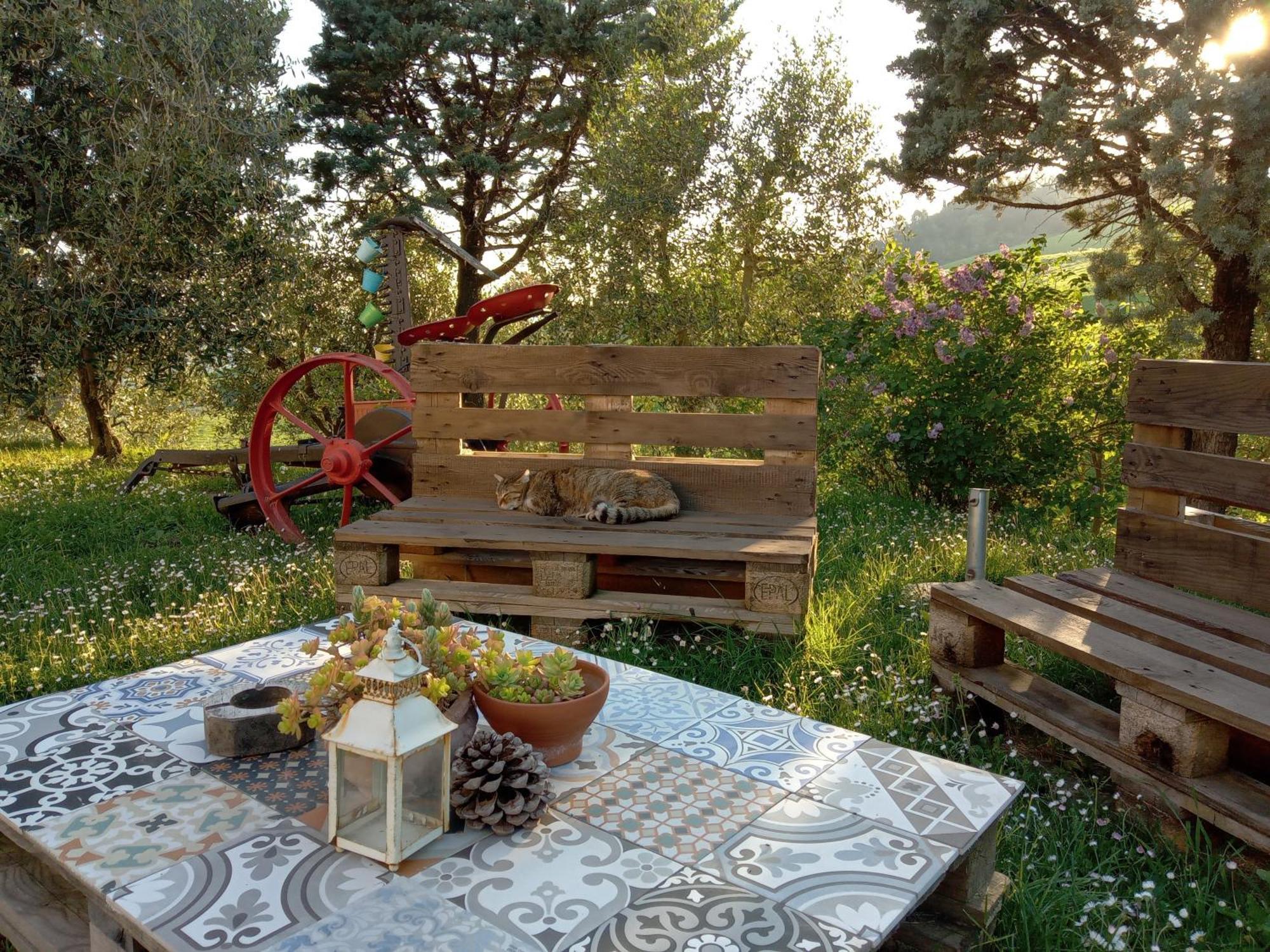 Agriturismo Santa Bruna Volterra Extérieur photo